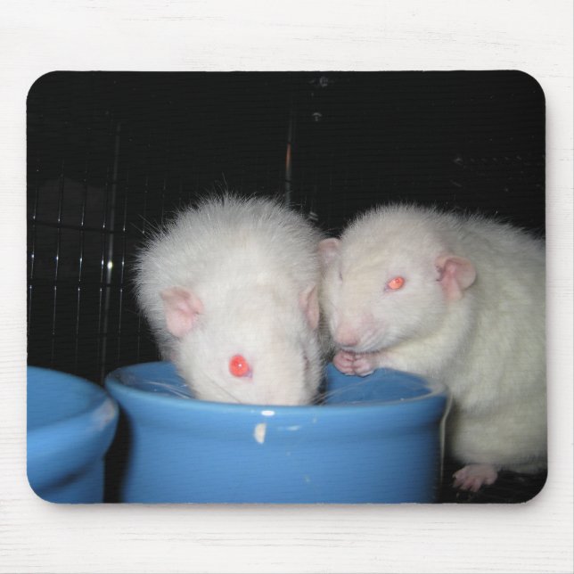 Nicht eine Mausunterlage… Mousepad (Vorne)