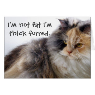 Nicht fett! Thick Furred