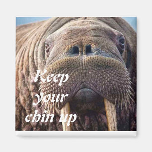 Nicht gut Beileid Karte: Hoch oder Krankheit Magnet