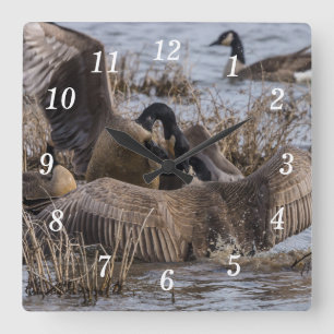 Nicht hier Gewollt Wall Clock Quadratische Wanduhr