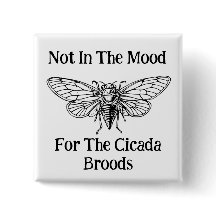Nicht in der Stimmung für die Cicada Broods