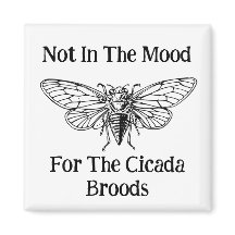 Nicht in der Stimmung für die Cicada Broods