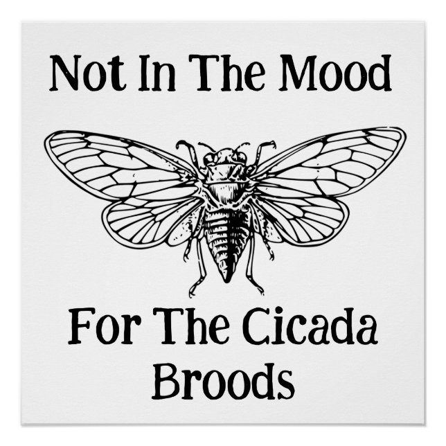 Nicht in der Stimmung für die Cicada Broods Poster (Vorderseite)