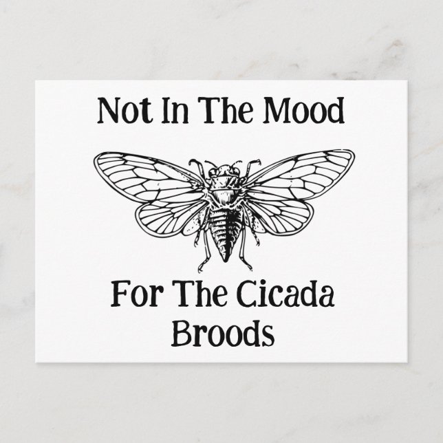 Nicht in der Stimmung für die Cicada Broods Postkarte (Vorderseite)