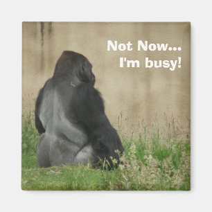 Nicht jetzt… bin ich beschäftigt! Magnet