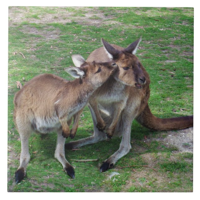 Nicht jetzt Skippy Fliese (Vorderseite)