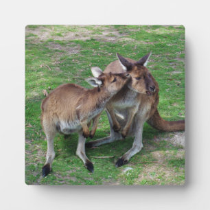 Nicht jetzt Skippy Fotoplatte