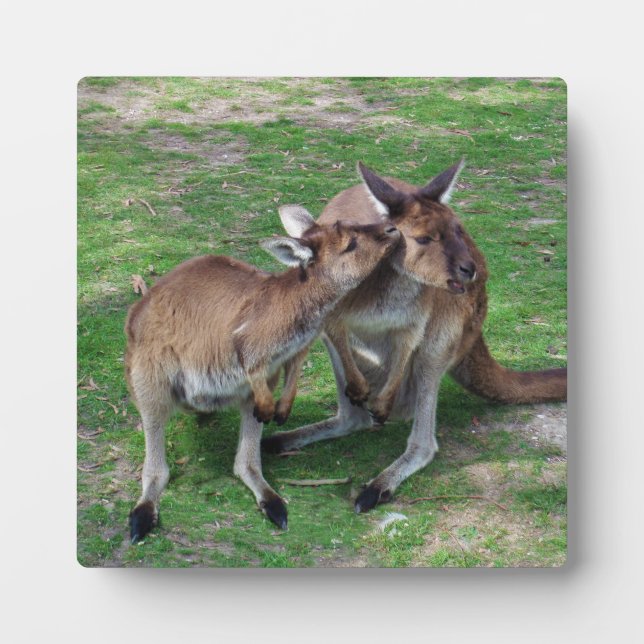 Nicht jetzt Skippy Fotoplatte (Vorderseite)