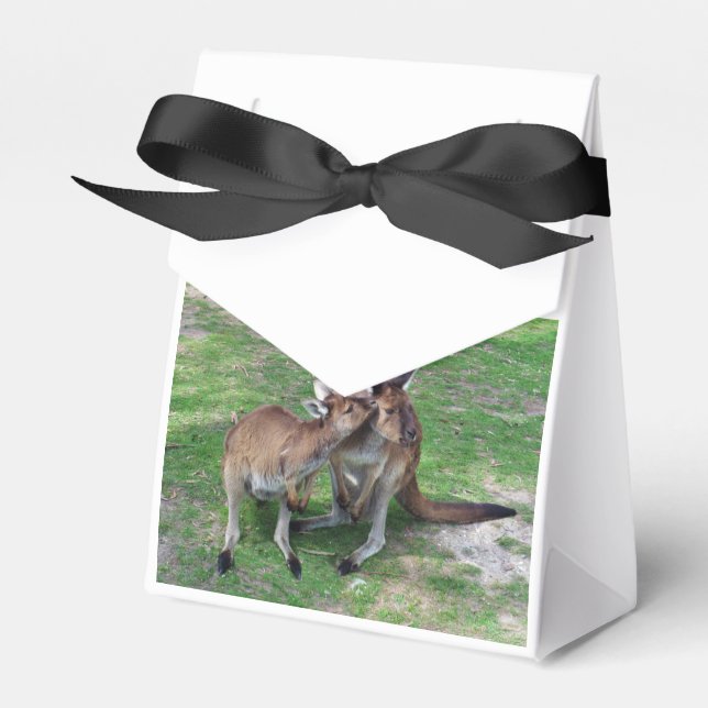 Nicht jetzt Skippy Geschenkschachtel (Vorderseite)