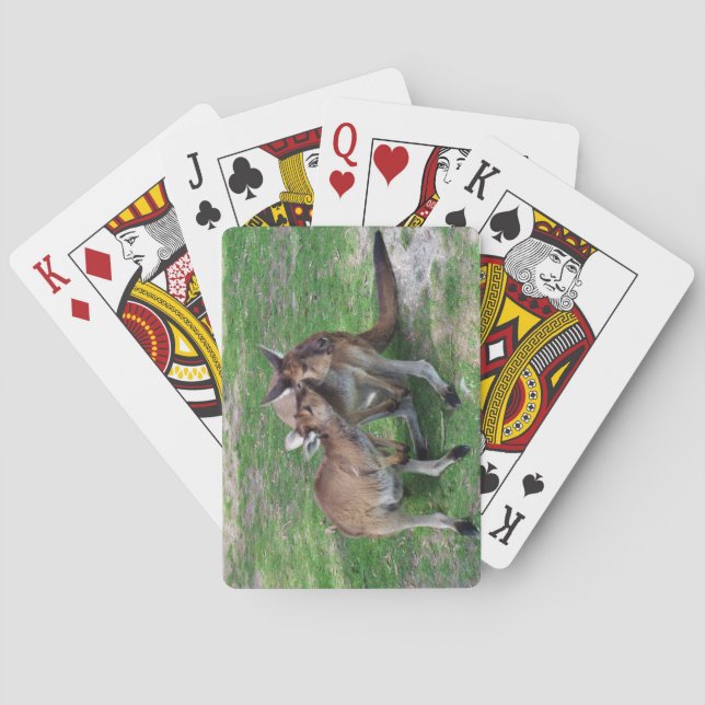 Nicht jetzt Skippy Spielkarten (Rückseite)