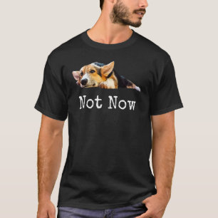 Nicht jetzt Welpe Corgi Süßer Welsh Corgi Pembroke T-Shirt