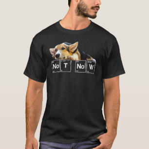 Nicht jetzt Welpe Corgi T-Shirt Sarkastischer Hund