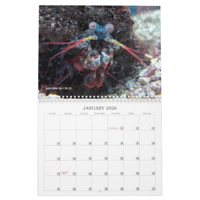 "Nicht mehr charismatisches Megafauna!" - Kalender (Jan 2026)