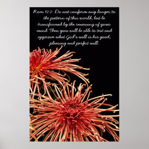 Nicht mehr konform poster