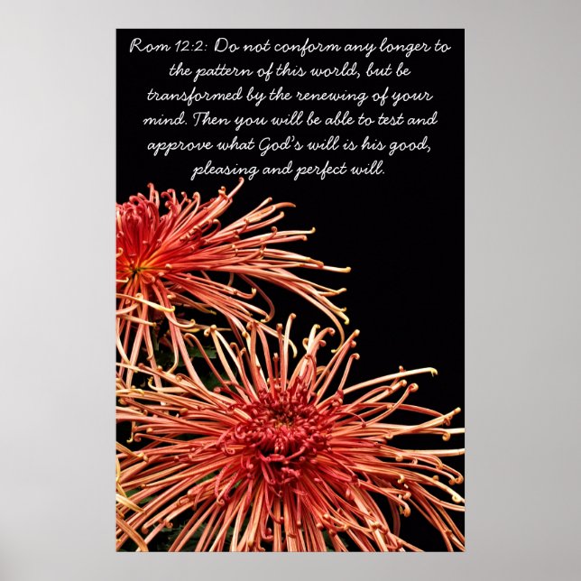 Nicht mehr konform poster (Vorne)