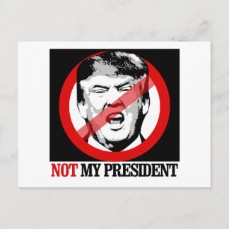 Nicht mein Präsident - Anti-Trump Postkarte