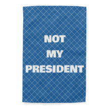 NICHT MEIN PRÄSIDENT DEMOKRATIE ALS FASZISMUS