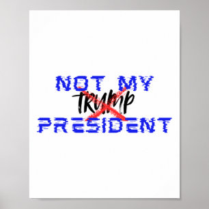 Nicht mein Präsident (Nein zu Facismus sagen) Poster