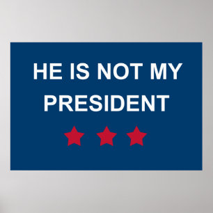Nicht mein Präsident Poster
