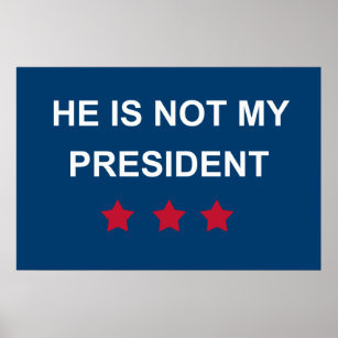 Nicht mein Präsident Poster