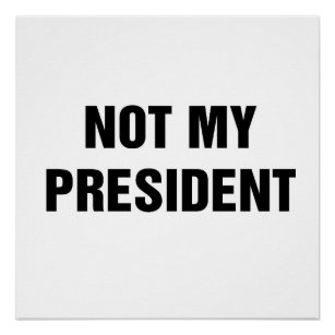 Nicht mein Präsident Poster