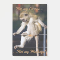 Nicht mein Zirkus, nicht meine Affen