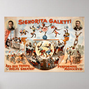 Nicht meine Affen nicht mein Zirkus-Vintages Poster