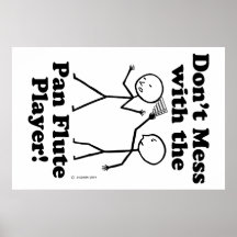 Nicht mit dem Pan Flute Player verwechseln