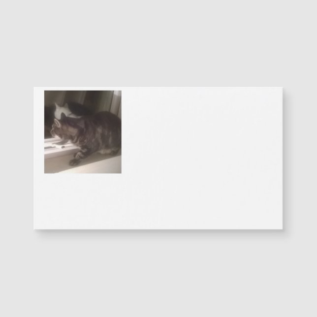 Nicht mit Ihnen Dave Magnetic Business Cards sprec Magnetkarte (Vorderseite)