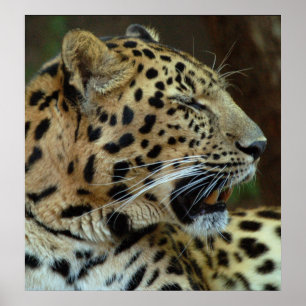 Nicht nah tun Ihre Augen auf mir… Poster