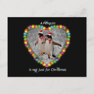 Nicht nur Weihnachts-Postkarte Postkarte