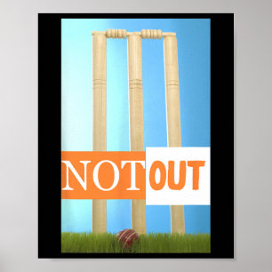 Nicht-Out-Cricket-Trikot Cricket India Farben Poster