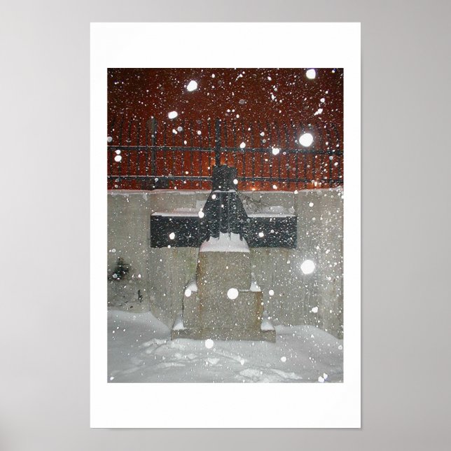 Nicht schneesicher poster (Vorne)