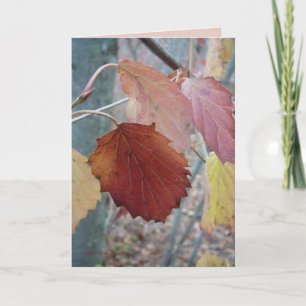 Nicht schon gefallen karte