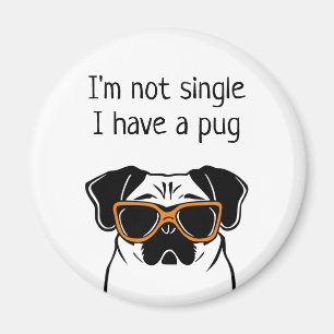 Nicht Single Magnet