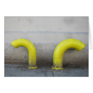 Nicht sprechendes 12x18