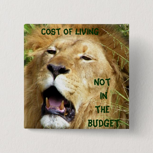 Nicht über den Knopf Budget_ Button (Vorderseite)