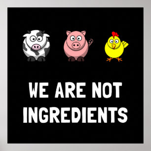 Nicht Zutaten Poster