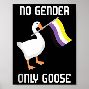 Nichtbinäre Gans Kein Geschlecht Stolzflagge Lgbtq Poster