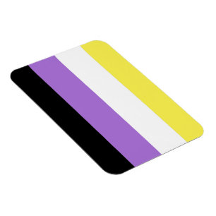 Nichtbinäre Pride-Flagge Magnet