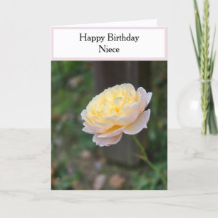 Nichte Geburtstag Pastellgelbe Rosen Pinker Cupcak Karte