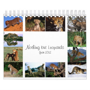 Nichts aber Leoparden - Kalender 2012