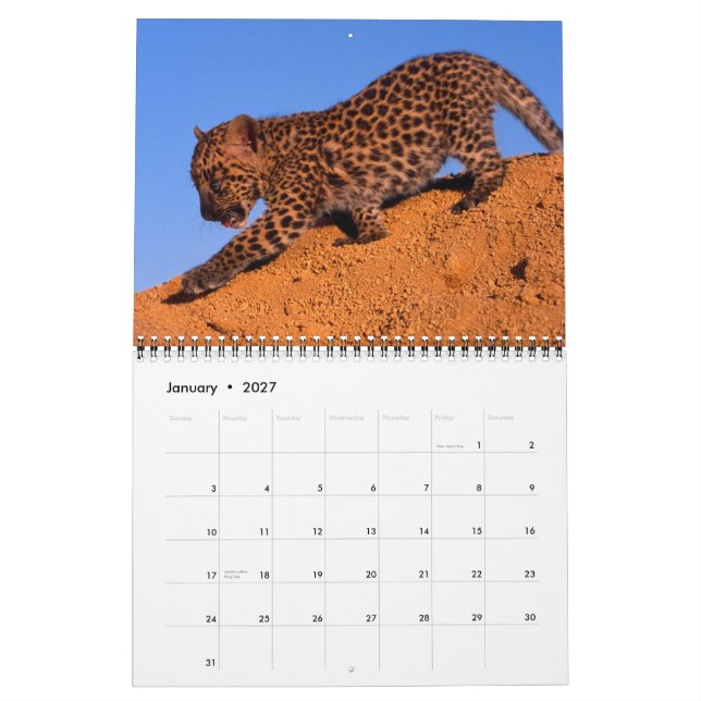 Nichts aber Leoparden - Kalender 2013 (Jan 2027)