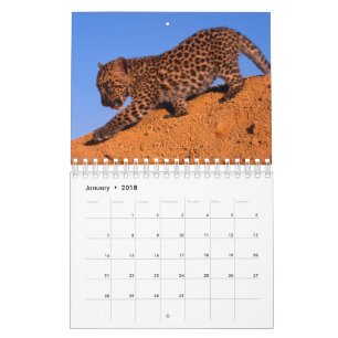 Nichts aber Leoparden - Kalender 2018