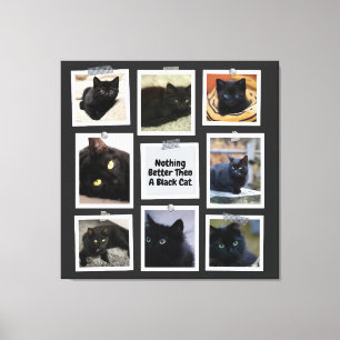 Nichts Besseres als eine schwarze Katze Leinwanddruck
