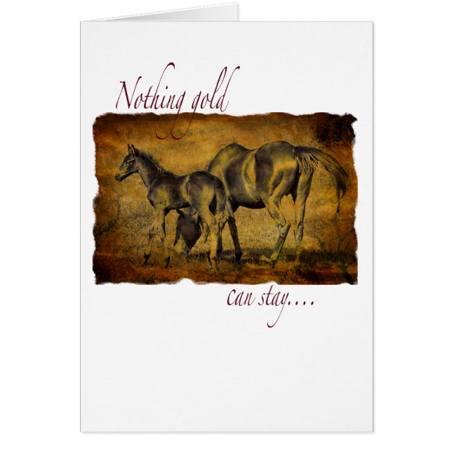 Nichts Gold kann bleibe (Vorne)