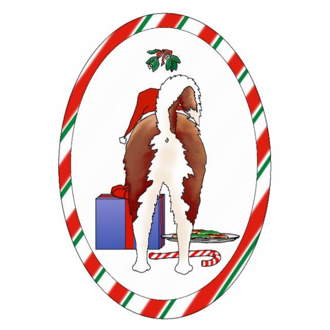 Nichts Hintern eine heisere Weihnachtsverzierung Fotoskulptur Ornament (Vorne)