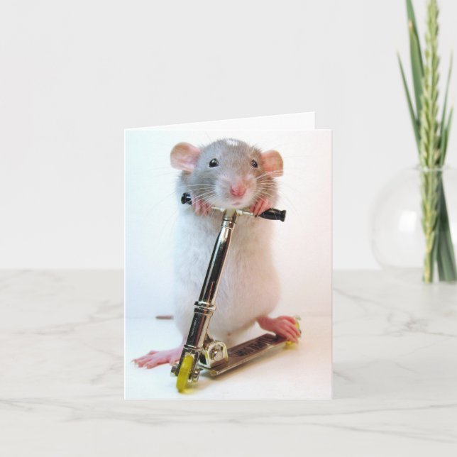 Nichts ist unmöglich karte (Vorderseite)