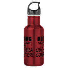 Nichts stört mich Orchesterdirigent