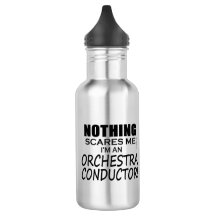 Nichts stört mich Orchesterdirigent